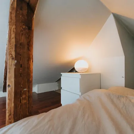 Cozy In Central Daire *